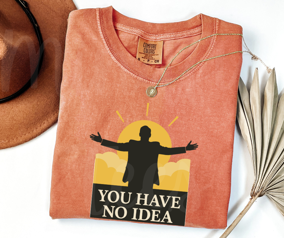 "You Have No Idea" Sarcastic Design The Office Inspired Unisex heavyweight t-shirt