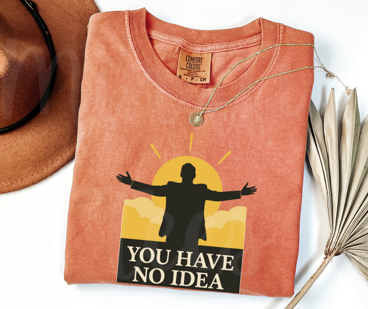 "You Have No Idea" Sarcastic Design The Office Inspired Unisex heavyweight t-shirt